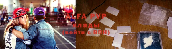 сатива Абинск