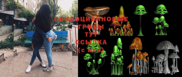 гашик Абдулино